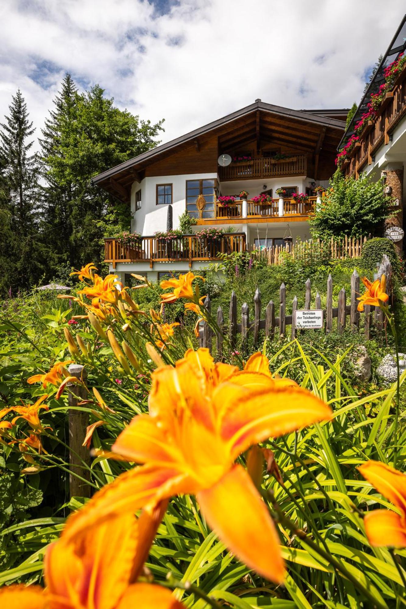 Der Lammhof - Appartements Kaswurm Wagrain Exterior photo